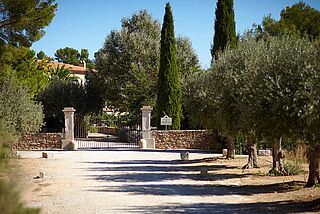 Auffahrt des Weinguts Chateau Pibarnon