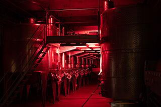 Cantina Terlan