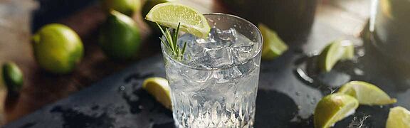 Ein frisch zubereitetes Glas Gin Tonic