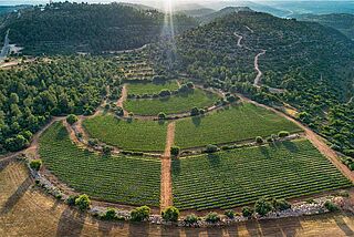 Tzora Vineyards Weinberge von oben