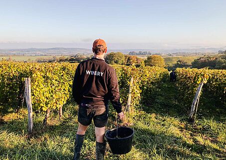 Domaine Courbet schaut über seine Weinberge