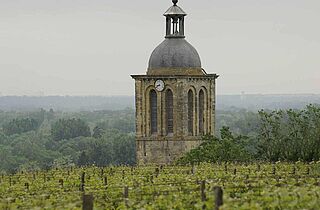 Kirchtum über Rebzeilen bei Huet in Vouvray