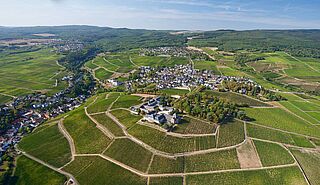 Das Weingut auf thront auf den Weinbergen