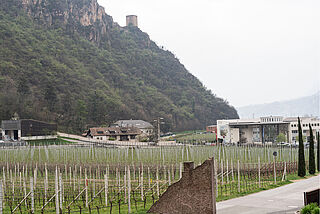Cantina Terlan