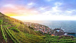 Madeira Madeira