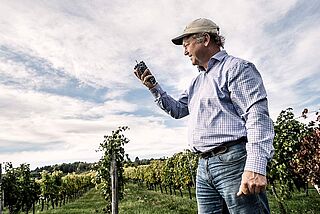 Fritz Wieninger mit Cap und Trauben in der Hand auf dem Weinfeld