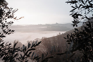 Weingut Vietti