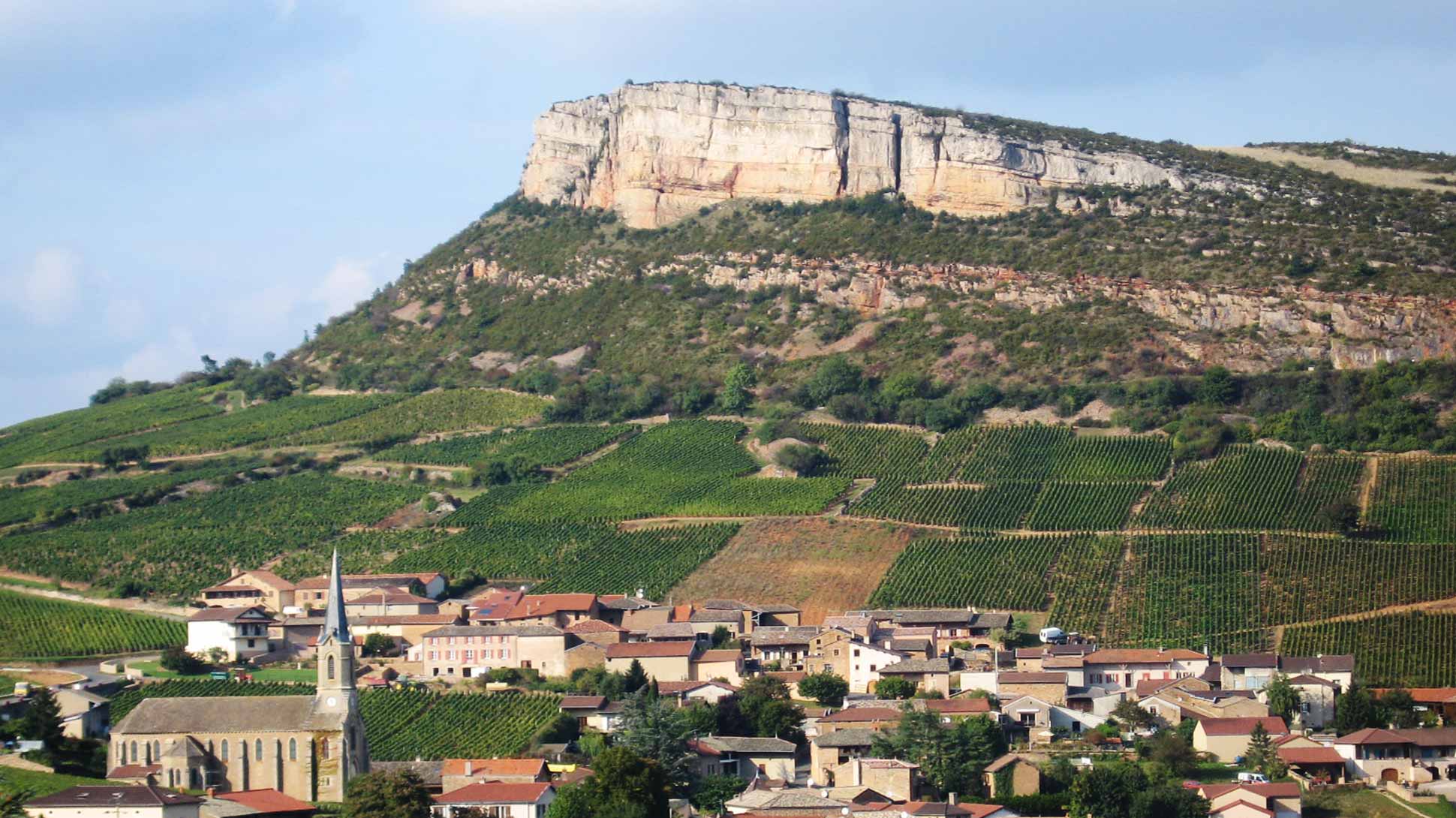 Maconnais