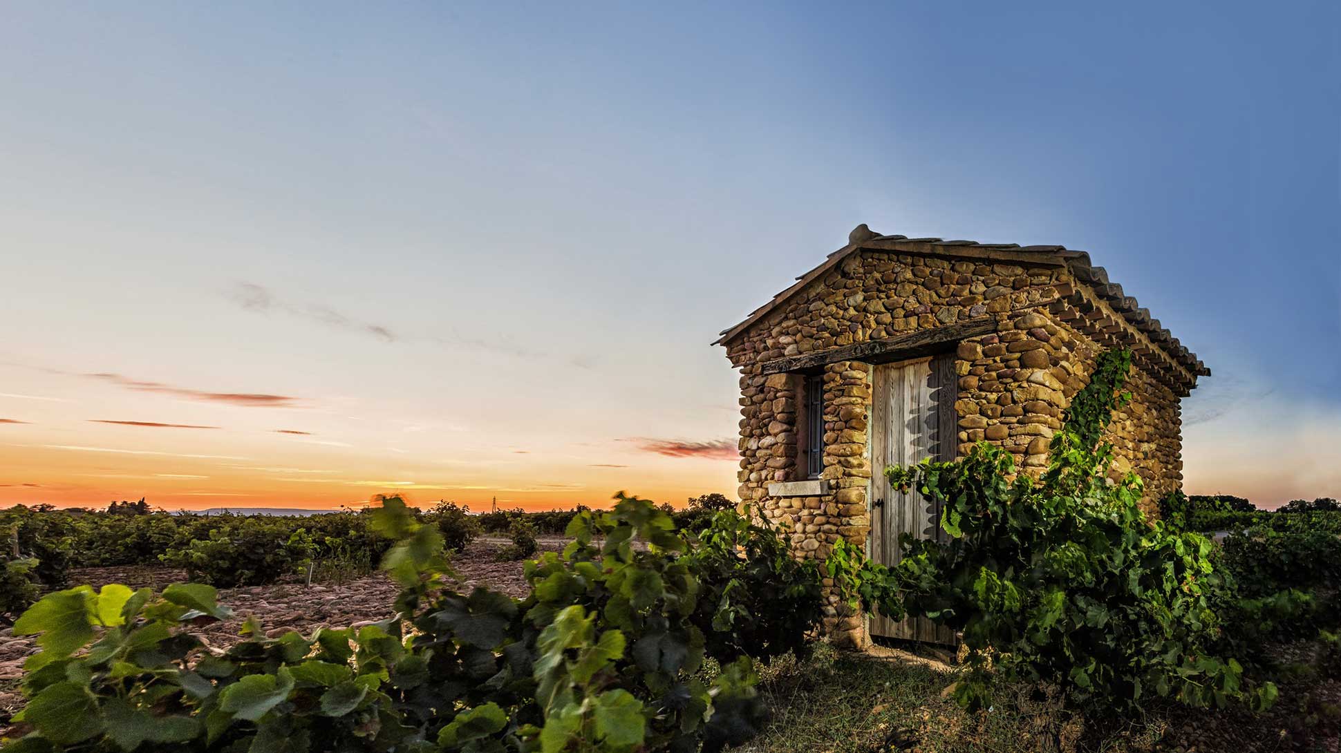 Chateauneuf du Pape – Perrin / Beaucastel Chateauneuf du Pape – Perrin / Beaucastel