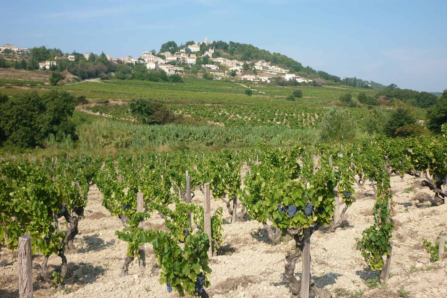Weinfeld Domaine Gourt de Mautens