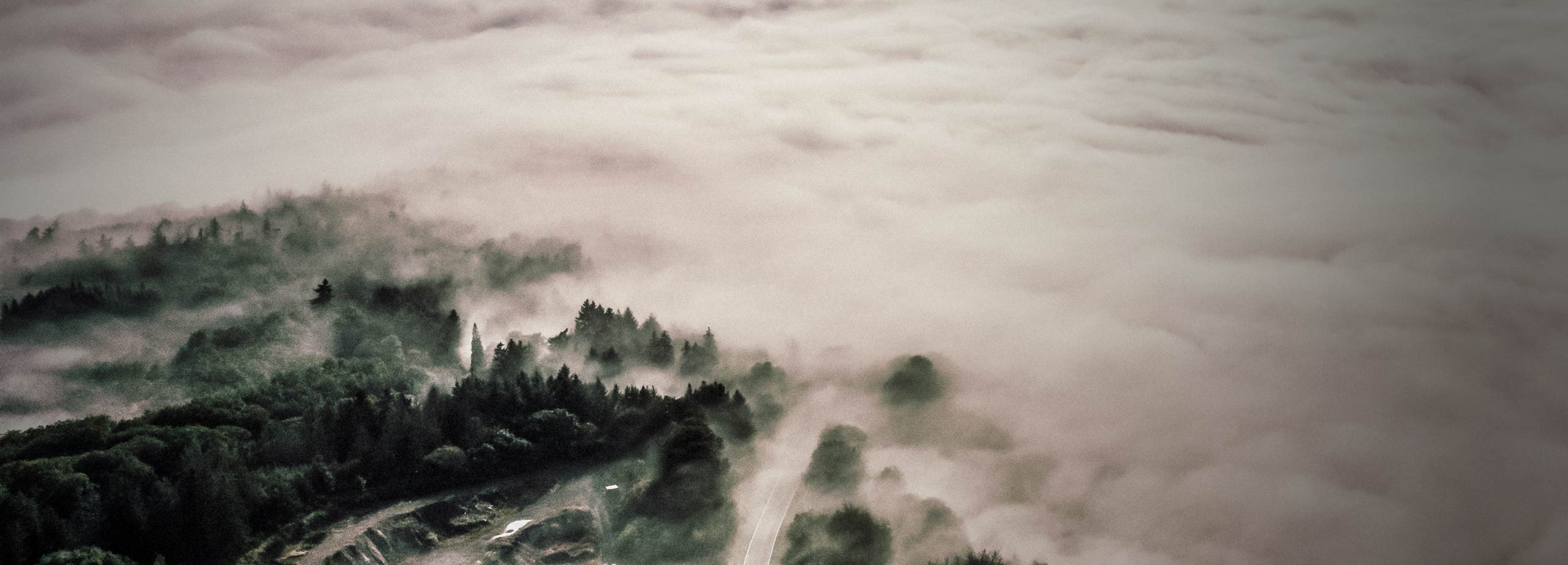 Eine Straße durch den Wald im Nebel