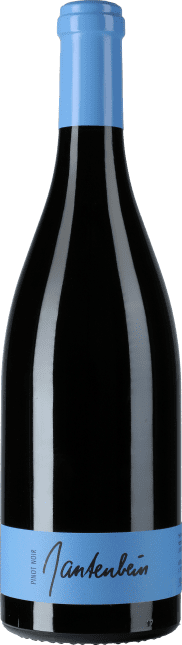 Gantenbein Pinot Noir 2021