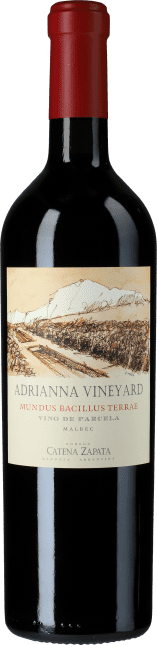 Bodega Catena Zapata Adrianna Vineyard Mundus Baccilus Terrae 2021