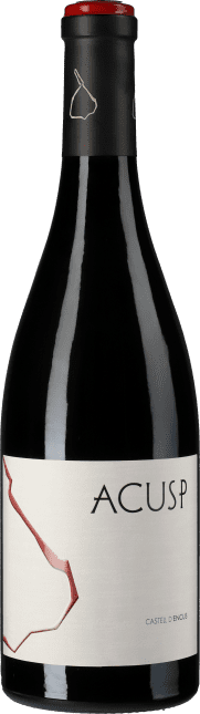 Castell d'Encus Acusp Pinot Noir 2020