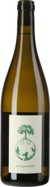 Werlitsch Sauvignon Blanc vom Opok 2022